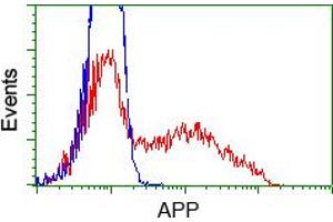 Image no. 6 for anti-Amyloid beta (A4) Precursor Protein (APP) antibody (ABIN1496876) (APP anticorps)