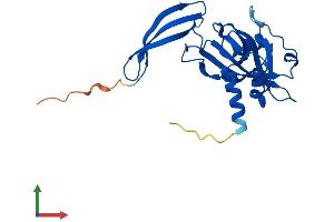 AlphaFold protein structure predicition of Human Recombinant NUDT5 Protein, UniprotID Q9UKK9