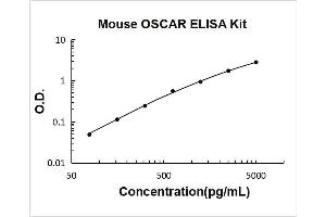 Osteoclast Associated Receptor (OSCAR) ELISA Kit