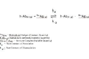 Helicobacter Pylori Antibody (IgG) CLIA Kit