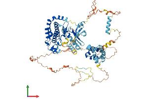 AlphaFold protein structure predicition of Human Recombinant RIPK1 Protein, UniprotID Q13546