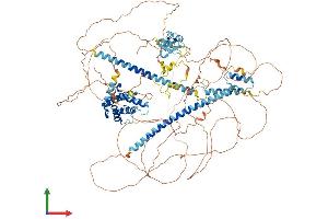 AlphaFold protein structure predicition of Human Recombinant LIMCH1 Protein, UniprotID Q9UPQ0
