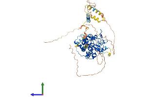 AlphaFold protein structure predicition of Mouse Recombinant Hs6st2 Protein, UniprotID Q80UW0