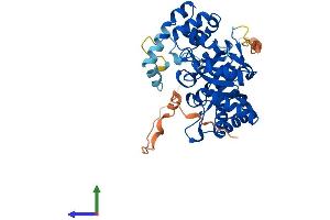 AlphaFold protein structure predicition of Human Recombinant KCNAB3 Protein, UniprotID O43448