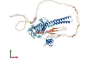 AlphaFold protein structure predicition of Human Recombinant SNX18 Protein, UniprotID Q96RF0