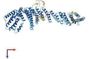 AlphaFold protein structure predicition of Human Recombinant NUP85 Protein, UniprotID Q9BW27