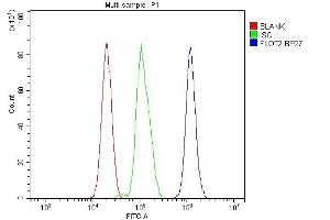 Flow Cytometry analysis of RH35 cells using anti-Flotillin 2 antibody (ABIN3042393).
