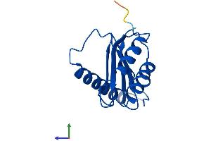 AlphaFold protein structure predicition of Human Recombinant TRAPPC1 Protein, UniprotID Q9Y5R8
