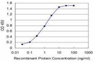 Detection limit for recombinant GST tagged TLX3 is approximately 0. (TLX3 anticorps  (AA 192-291))