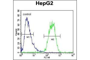 Flow cytometric analysis of HepG2 cells using SEC13 Antibody (Center) Cat. (SEC13 anticorps  (Middle Region))