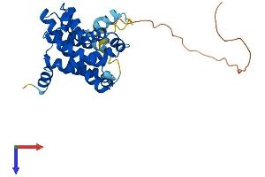 AlphaFold protein structure predicition of Human Recombinant TMEM38B Protein, UniprotID Q9NVV0