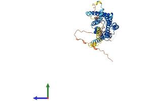 AlphaFold protein structure predicition of Mouse Recombinant Gpr63 Protein, UniprotID Q9EQQ3