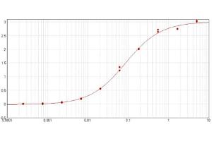 ELISA results of purified Goat Anti-GST Antibody tested against GST.