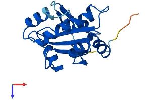 AlphaFold protein structure predicition of Human Recombinant NXNL2 Protein, UniprotID Q5VZ03