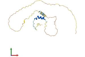 AlphaFold protein structure predicition of Human Recombinant CITED1 Protein, UniprotID Q99966