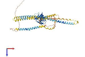 AlphaFold protein structure predicition of Mouse Recombinant Msr1 Protein, UniprotID P30204
