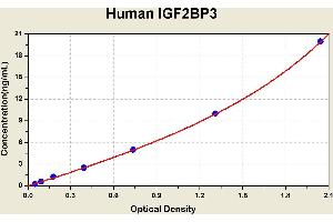 Diagramm of the ELISA kit to detect Human 1 GF2BP3with the optical density on the x-axis and the concentration on the y-axis. (IGF2BP3 Kit ELISA)