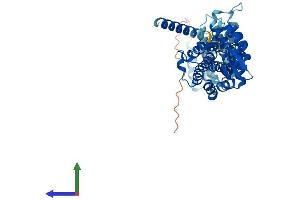 AlphaFold protein structure predicition of Mouse Recombinant Cops2 Protein, UniprotID P61202