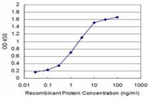 Detection limit for recombinant GST tagged CCL3 is approximately 0. (CCL3 anticorps  (AA 24-92))
