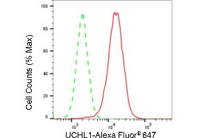 Flow cytometric analysis of UCHL1 expression in HAP-1 cells using UCHL1 antibody (ABIN7800708), 1:2,000).