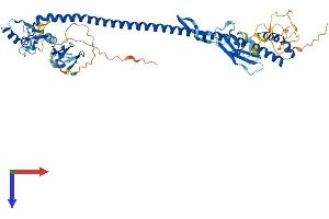 AlphaFold protein structure predicition of Mouse Recombinant Trim45 Protein, UniprotID Q6PFY8