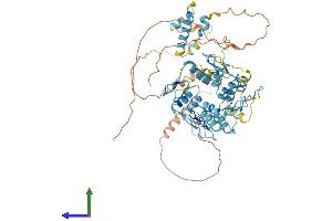AlphaFold protein structure predicition of Human Recombinant ZNF311 Protein, UniprotID Q5JNZ3