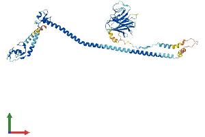 AlphaFold protein structure predicition of Human Recombinant TRIM39 Protein, UniprotID Q9HCM9