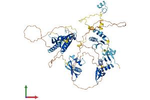 AlphaFold protein structure predicition of Human Recombinant NKRF Protein, UniprotID O15226
