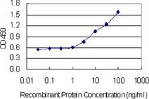 Detection limit for recombinant GST tagged GABARAP is 0.