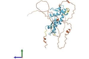 AlphaFold protein structure predicition of Mouse Recombinant Scrt2 Protein, UniprotID Q8BTH6