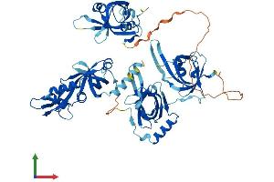 AlphaFold protein structure predicition of Human Recombinant RPA1 Protein, UniprotID P27694