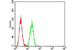 Flow cytometric analysis of Hela cells using GLRB mouse mAb (green) and negative control (red).