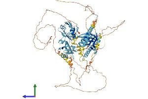 AlphaFold protein structure predicition of Mouse Recombinant Apba1 Protein, UniprotID B2RUJ5