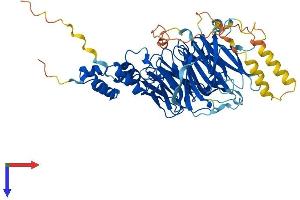 AlphaFold protein structure predicition of Mouse Recombinant Fbxw5 Protein, UniprotID Q9QXW2