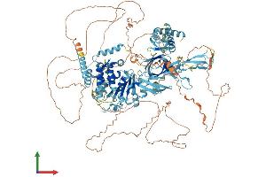 AlphaFold protein structure predicition of Mouse Recombinant Mcm9 Protein, UniprotID Q2KHI9