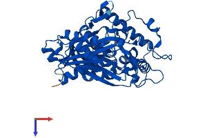 AlphaFold protein structure predicition of Mouse Recombinant Acat2 Protein, UniprotID Q8CAY6