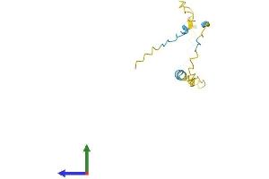 AlphaFold protein structure predicition of Human Recombinant XAGE3 Protein, UniprotID Q8WTP9