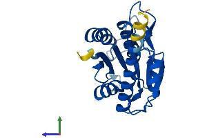 AlphaFold protein structure predicition of Human Recombinant PGPEP1 Protein, UniprotID Q9NXJ5
