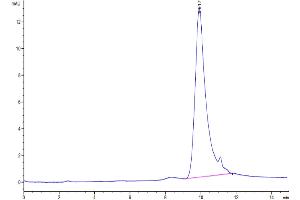 The purity of Biotinylated Cynomolgus TSLP is greater than 95 % as determined by SEC-HPLC.