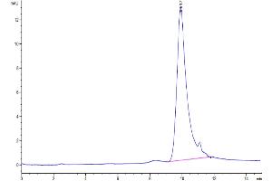 The purity of Biotinylated Cynomolgus TSLP is greater than 95 % as determined by SEC-HPLC. (Thymic Stromal Lymphopoietin Protein (TSLP) (AA 29-159) (His tag,Biotin))