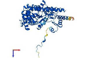 AlphaFold protein structure predicition of Human Recombinant GOT1L1 Protein, UniprotID Q8NHS2