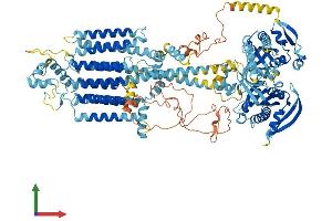 AlphaFold protein structure predicition of Human Recombinant ADCY6 Protein, UniprotID O43306