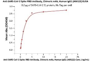 Immobilized SARS-CoV-2 S1 protein, His Tag (ABIN6973257) at 2 μg/mL (100 μL/well) can bind Anti-SARS-CoV-2 Spike RBD Antibody, Chimeric mAb, Human IgG1 (AM122) (ABIN6953206) with a linear range of 0.