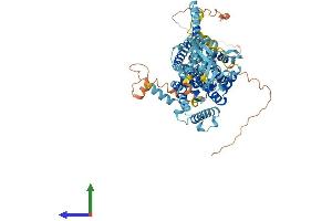 AlphaFold protein structure predicition of Mouse Recombinant Slc34a2 Protein, UniprotID Q9DBP0