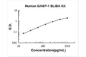 Typical Standard Curve