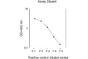 Image no. 2 for Epidermal Growth Factor Receptor (EGFR) ELISA Kit (ABIN625224) (EGFR Kit ELISA)