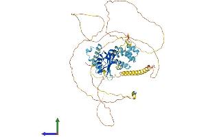 AlphaFold protein structure predicition of Mouse Recombinant Cstf2 Protein, UniprotID Q8BIQ5