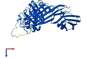 AlphaFold protein structure predicition of Mouse Recombinant Ap1m2 Protein, UniprotID Q9WVP1
