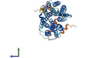 AlphaFold protein structure predicition of Human Recombinant SLC29A3 Protein, UniprotID Q9BZD2