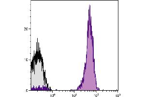Human peripheral blood lymphocytes were stained with Mouse Anti-Human CD45-PE/CY7.